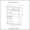 Шкаф-купе №19 (1,7м) Инфинити Анкор